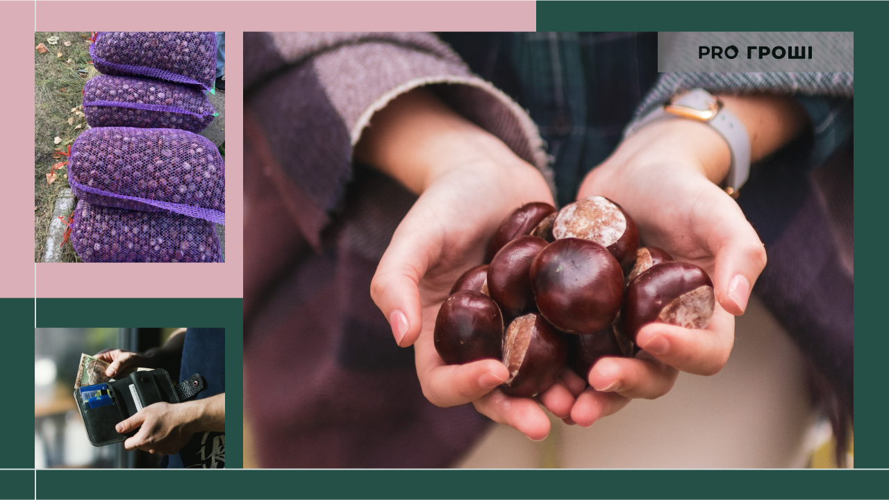 Фото: Unsplash, Pexels. Коллаж: Pro Гроші