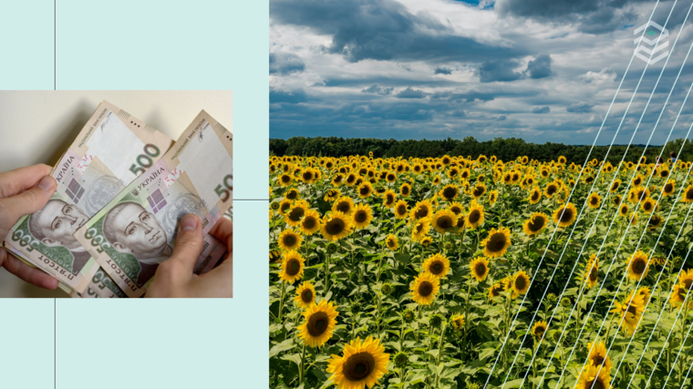 Фото: Pexels. Колаж: Pro Гроші