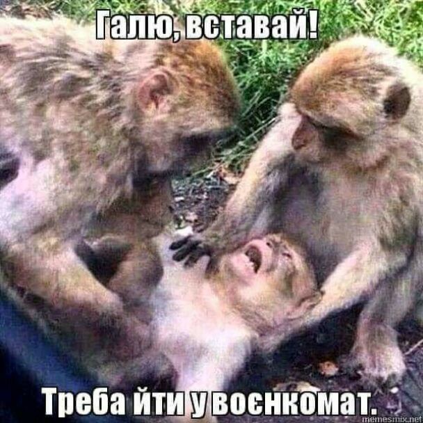  | Фото: Интернет